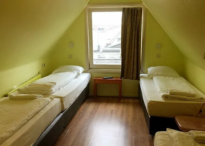 Orange Tulip Amsterdam