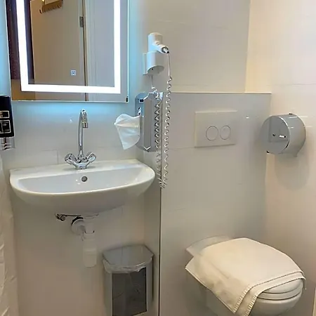 Orange Tulip 2*