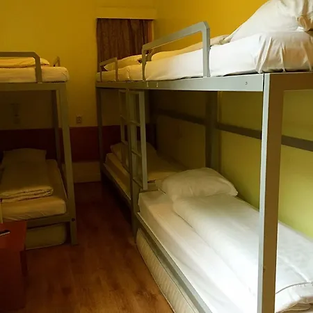 Orange Tulip 암스테르담