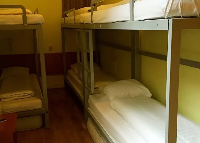 Orange Tulip Ámsterdam